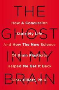 Book cover for The Ghost In My Brain.
